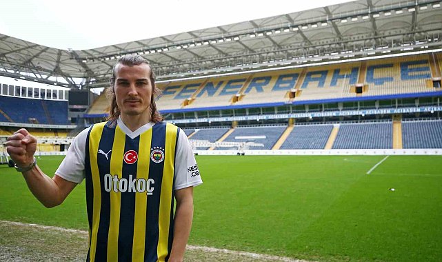 Fenerbahçe'nin kış transfer dönemi dosyası
