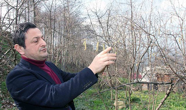 Fındıkta korkutan yıl