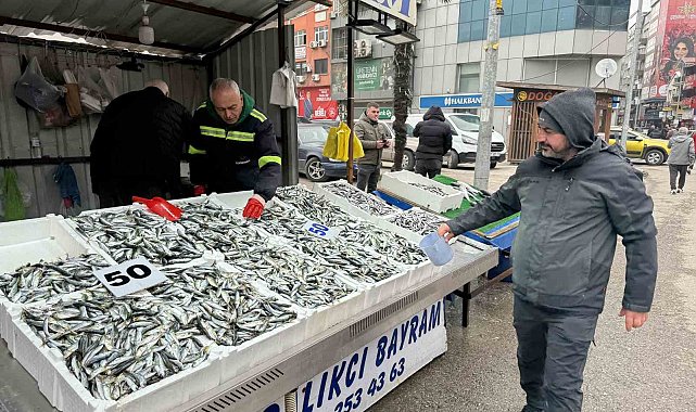 Fiyatı 50 liraya düşen istavrite yoğun ilgi