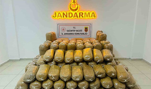 Gaziantep'te 2 ton kaçak tütün ele geçirildi