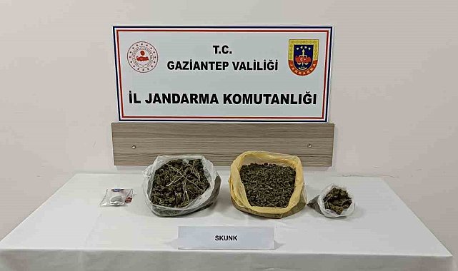 Gaziantep'te skunk operasyonu: 1 tutuklama