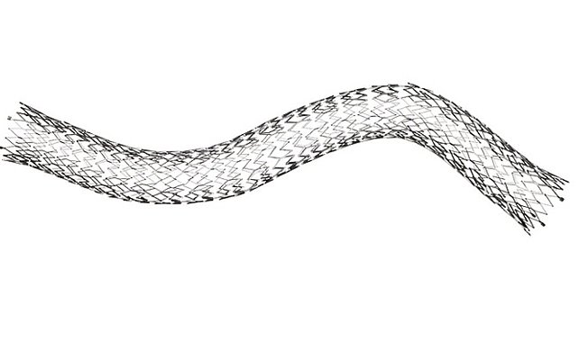 INVAMED Venöz Stent üretti