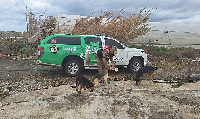 Jandarma sokak hayvanlarını unutmuyor
