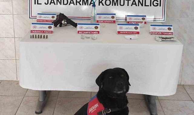 Jandarmadan silah ve uyuşturucu operasyonu: 3 gözaltı