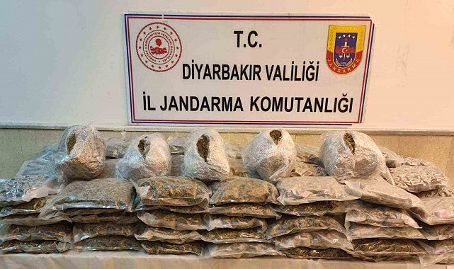 Jandarmanın durdurduğu araçta satışa hazır 67 kilo esrar ele geçirildi