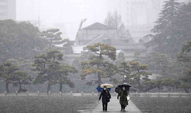 Japonya'da şiddetli kar: 160 yaralı, 132 uçuş iptal