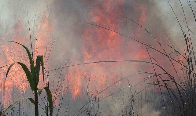Kargılık yangınında alevlerin boyu 5 metreye kadar yükseldi
