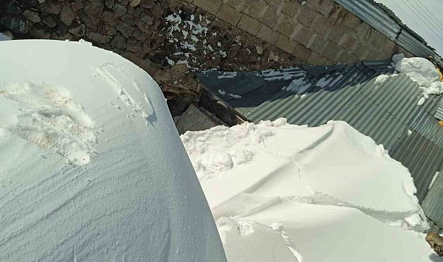 Karın ağırlığına dayanamayan ahır çöktü