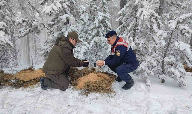 Karla kaplı Kazdaağları'nda yaban hayvanları için yem bıraktılar