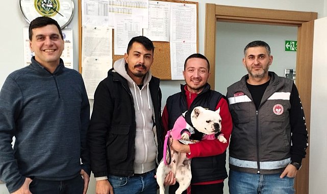 Kırklareli'de kaybolan köpek çip sayesinde bulundu