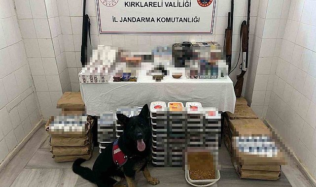 Kırklareli'nde kaçakçılık operasyonu: Tarihi obje ve ruhsatsız silahlar ele geçirildi