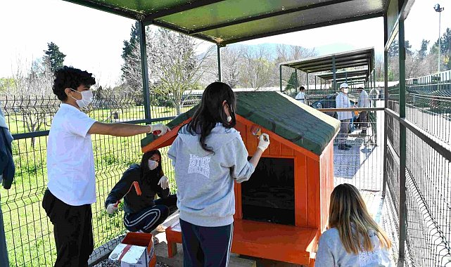 Konyaaltı'nda sokak hayvanlarına öğrenci eli değdi