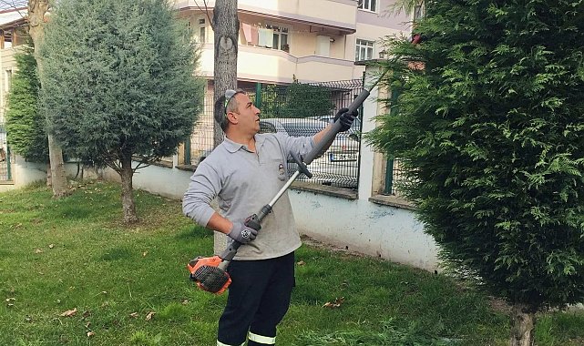 Körfez'de yeşil alanlara kış bakımı
