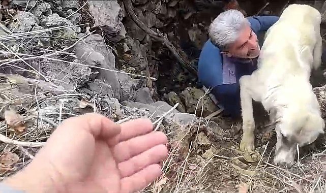 Kuyuya düşen köpeğe vatandaştan yardım eli