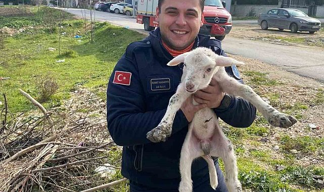 Kuyuya düşen kuzuyu itfaiye kurtardı