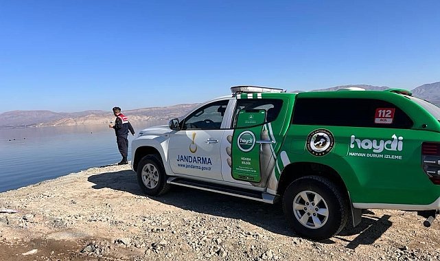 Malatya'da jandarma yabani kuşlar için doğaya yem bıraktı
