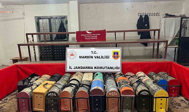 Mardin'de 54 horozu dövüştüren 83 kişiye 578 bin lira ceza