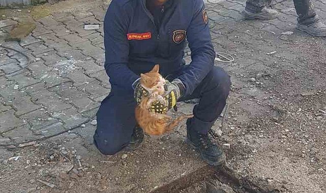 Mazgalın içinde mahsur kalan kedi itfaiye tarafından kurtarıldı