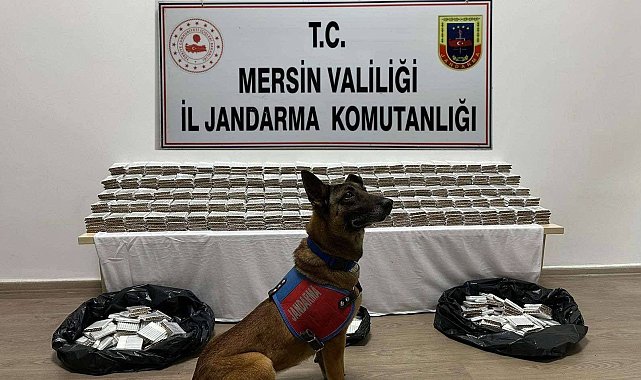 Mersin'de 61 bin 700 adet kaçak makaron ele geçirildi