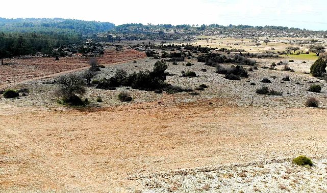 Muğla'nın yüksek kesimleri, bu yıl kar yüzü görmedi