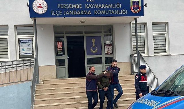Ordu'da evden hırsızlık yapan şahıs tutuklandı
