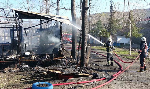 Ordu'da kamp alanında yangın: 10 yapı küle döndü, 3 çadır hasar gördü
