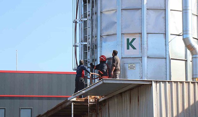 Orman ürünlerinin üretildiği fabrikanın silo bölümünde yangın