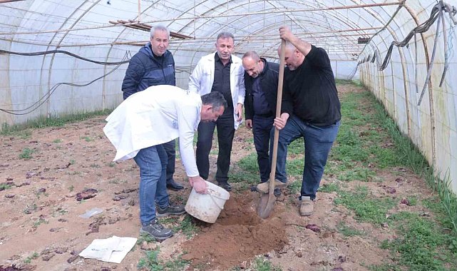 Örtü altı üreticiye destek