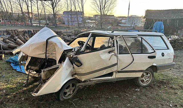 Otomobil elektrik direğine çarptı: Sürücü öldü, 4 günlük bebek ve annesi yaşam mücadelesi veriyor