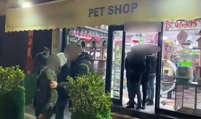 Pet shop'ta düzensiz göçmen operasyonu