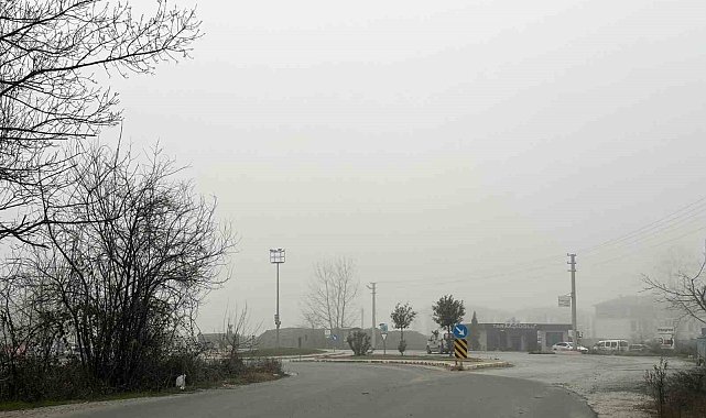 Sakarya'da sis