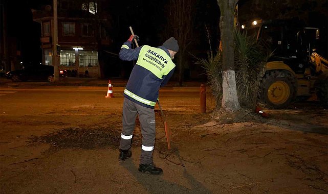 Sakarya'nın sembol noktalarına estetik dokunuş