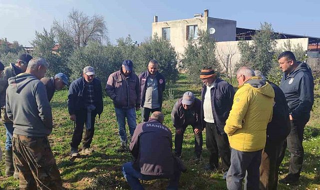 Salihli'de çiftçilere uygulamalı budama eğitimi