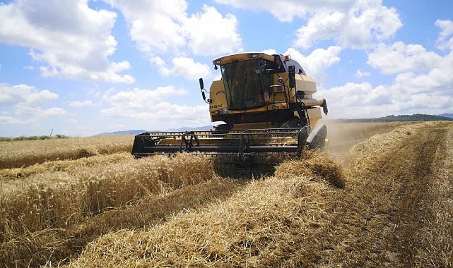 Samsun 2,5 milyon ton buğday ithalatı, 434 bin ton buğday unu ihracatı yaptı