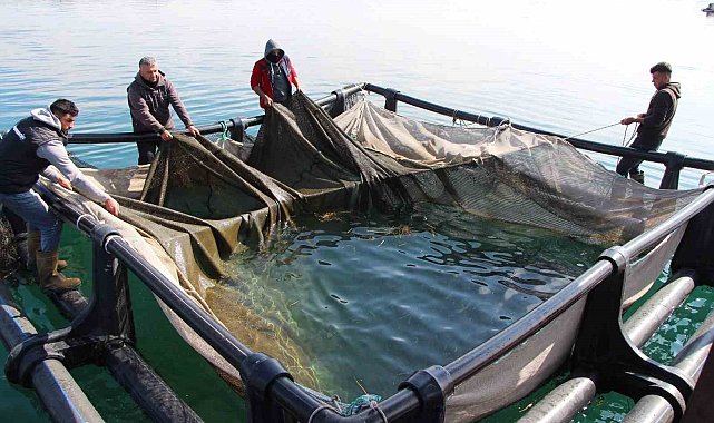 Şanlıurfa'dan ülke ekonomisine 100 milyon dolar destek