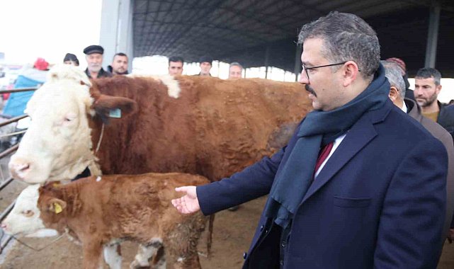Şap hastalığından dolayı kapalı olan Iğdır Hayvan Borsası yeniden kullanıma açıldı