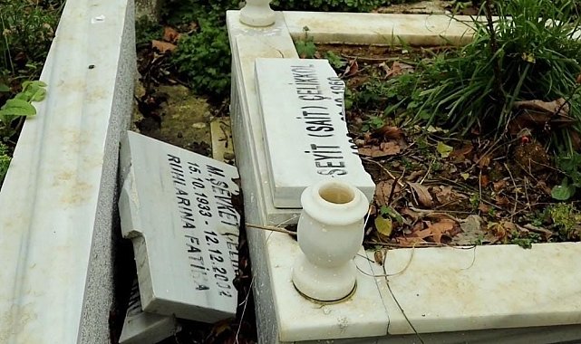 Sarıyer'de İBB'nin ağaç budama çalışmaları yarım kaldı, mezarlar zarar gördü