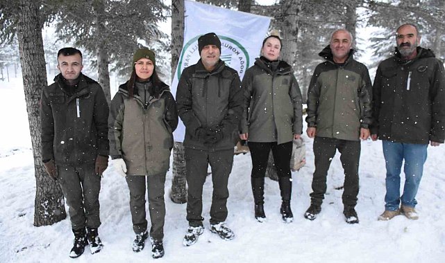 Şırnak'ta yaban hayvanları unutulmadı, doğaya yem bırakıldı