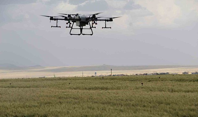 Sökeli üreticilere drone ile ilaçlama uyarısı