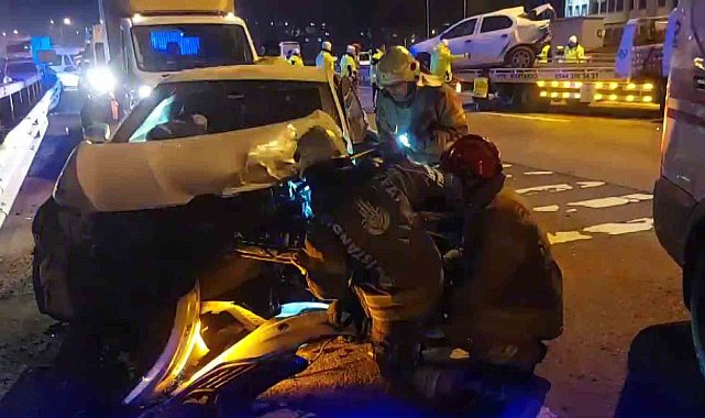 Sultanbeyli TEM Otoyolu'nda karşıya geçmeye çalışan köpek, zincirleme kazaya neden oldu: 12 yaralı