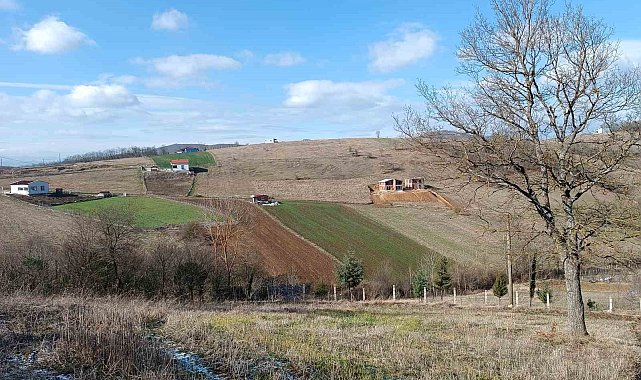 Tapu'dan 2023 yılında devlete 773 milyon TL gelir