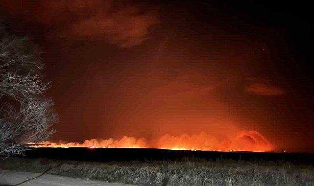 Texas'ta orman yangınları: İtfaiyeciler alevlerin arasında kaldı