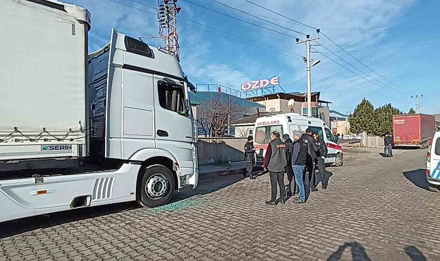 Tır şoförü ölü bulundu