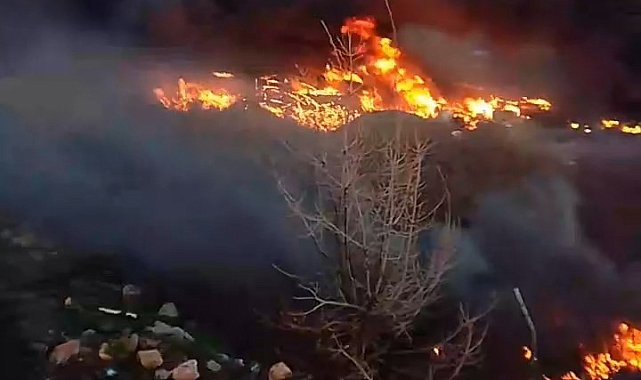 Tokat'ta ot yangını korkuttu