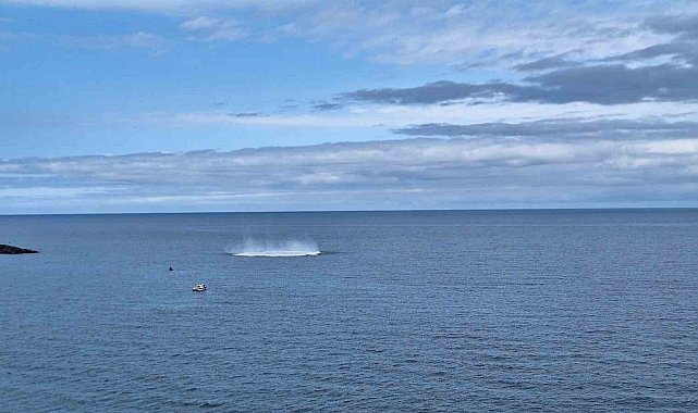 Trabzon açıklarında sıcak dakikalar