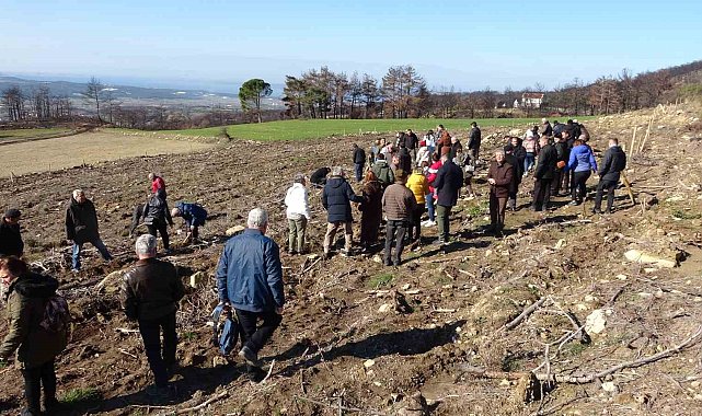 Trafik kazasında hayatını kaybeden genç avukatın adı hatıra ormanında yaşayacak