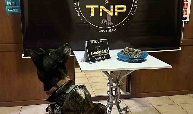 Tunceli'de zehir tacirleri, 'Fırtına'dan kaçamadı