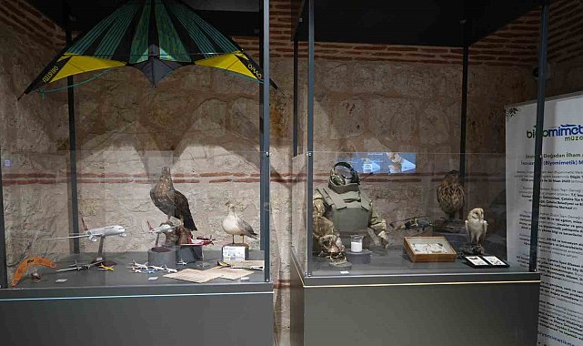 Türkiye'de bir ilk: Biyomimetik Proje Yarışması başlıyor