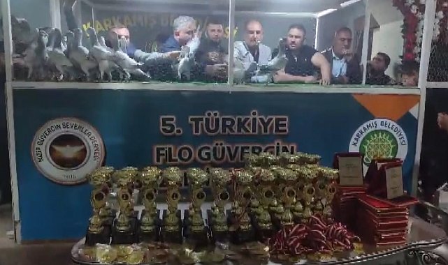 Türkiye'nin en güzel güvercinleri Karkamış'ta görücüye çıktı