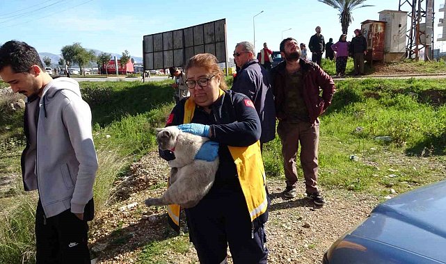 Tutuşan izolasyon malzemeleri çatıyı küle çevirdi, bina sakinleri gözyaşlarına hakim olamadı
